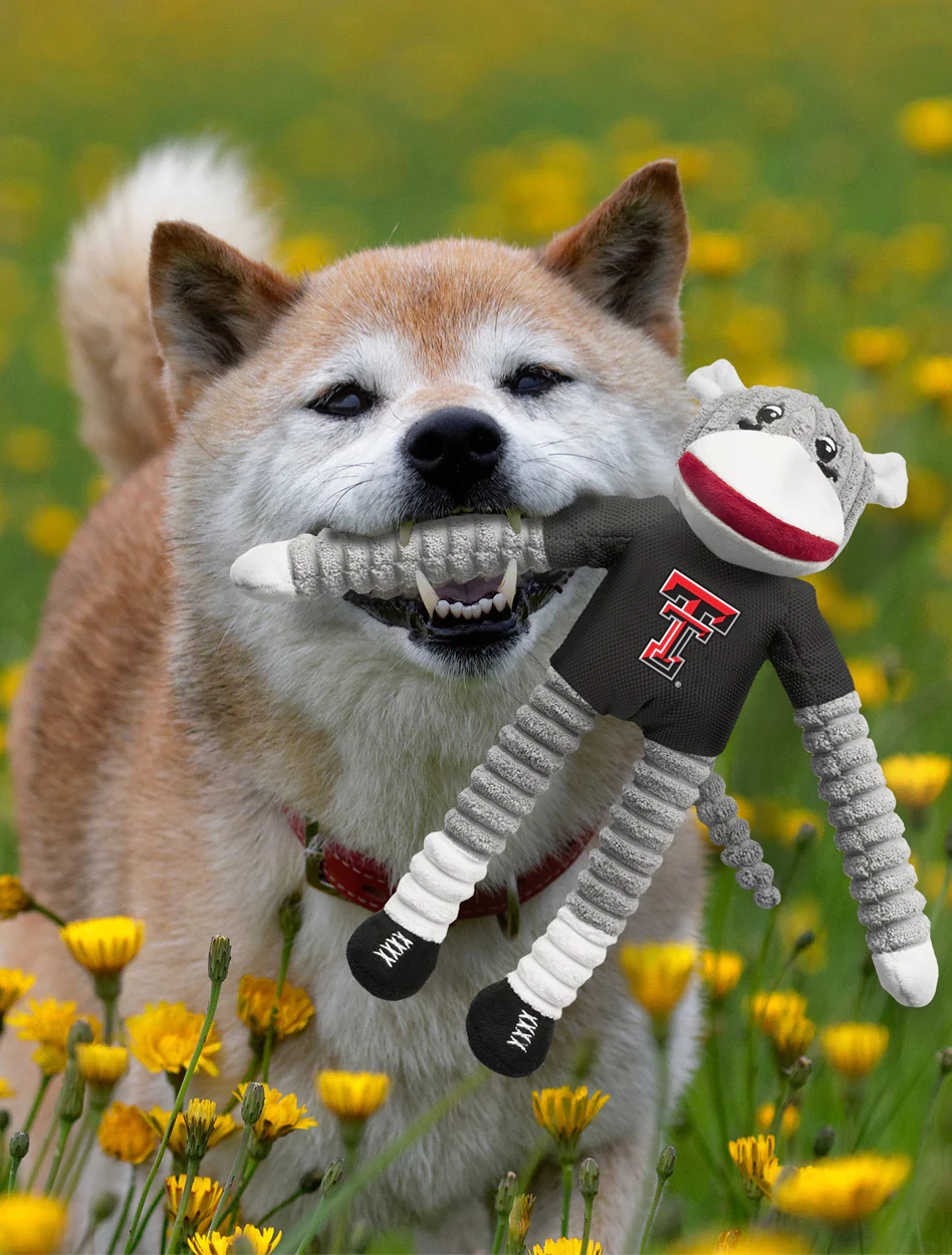 Texas Tech "Sock Monkey" Dog Toy - Image 2